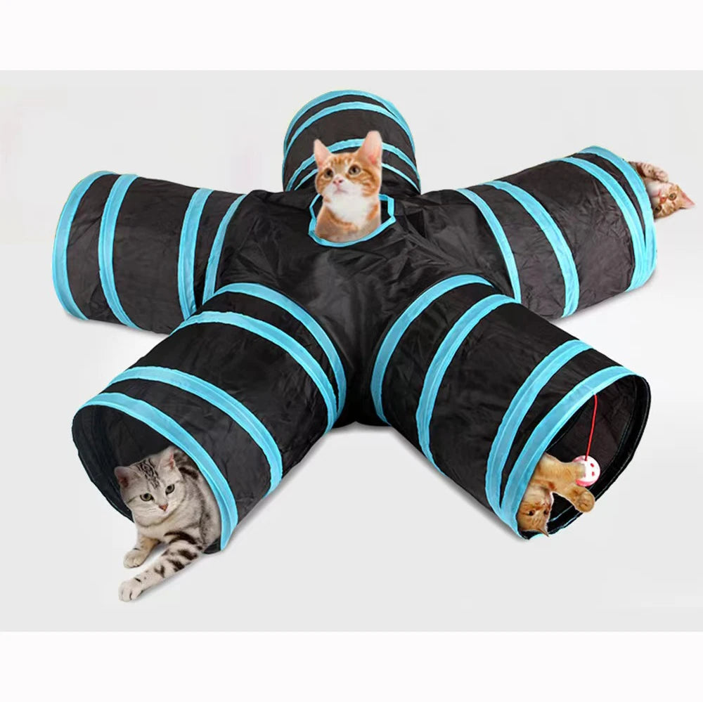 Mundo de gato